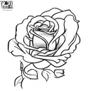 Taylor Swift  tattoo design idea