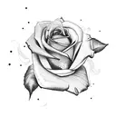 3 roses tattoo design idea