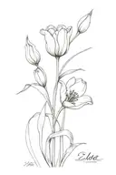 drawing of Two tulips with the stems being the names Zoe and Mizobi in fancy cursive black and white tattoo design idea