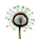 Dandelion tattoo design idea