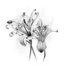 A fine line and abstract Lily tattoo design idea