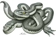 hyper realistic snake tattoo from upper arm over right shoulder onto right chest. should possibly wrap around or "go und tattoo design idea