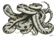hyper realistic snake tattoo from upper arm over right shoulder onto right chest. should possibly wrap around or "go und tattoo design idea