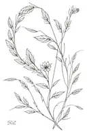 Thin lines or branches with small wheat and some small flowers. to be placed around the shoulder. Elegant and beautiful tattoo design idea