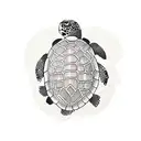 turtle tattoo design idea