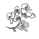 Orchidee  tattoo design idea