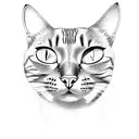 cat with ak tattoo design idea