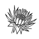 protea bdsm tattoo design idea