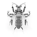 mantis shrimp tattoo design idea