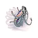 mantis shrimp  tattoo design idea