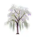 weeping willow tree, magnolia tree, dandelions tattoo design idea