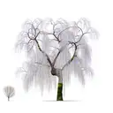 weeping willow tree, magnolia tree, dandelions tattoo design idea