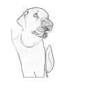 a black labrador retriever tattoo design idea