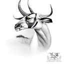 springbok tattoo design idea