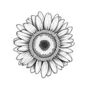 3 Daisy & bees tattoo design idea