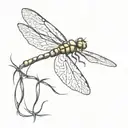 small barbed wire dragonfly tattoo design idea
