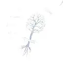 family tree than fully covers and wraps around the forearm, with dna style and the names of all the family members on  tattoo design idea