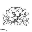 poland with poppy flowers  tattoo design idea