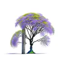 jacaranda tree tattoo design idea