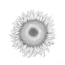 sunflower bounded im a box. include the text "19 jan". geometric linework that overlapps withbsome yellow. no shading tattoo design idea