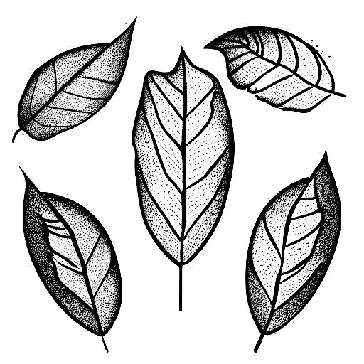 3 leafs of bay tattoo design idea