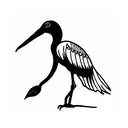 ibis tattoo design idea