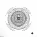 Yin and Yang, but the white part of the circle is a harbor seal. the black part of the cirlcle is an orca tattoo design idea