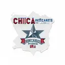 stamps that represent Chicago, Philadelphia, New York City, Orlando, Zion National Park, Rocky Mountains tattoo design idea