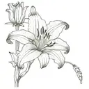 lily flower tattoo design idea