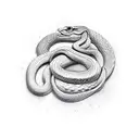 snake on a sword  tattoo design idea