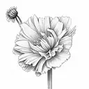 Carnation, violet, daffodil, 3 daisies, 2 poppies, chrysanthemum, narcissus tattoo design idea