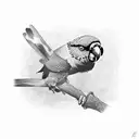 lorikeet tattoo design idea