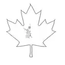 a canadian maple leaf tattoo design idea