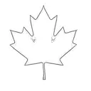 a canadian maple leaf tattoo design idea