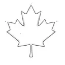 a canadian maple leaf tattoo design idea