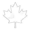 a canadian maple leaf tattoo design idea