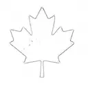 a canadian maple leaf tattoo design idea