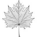 Maple Leaf tattoo design idea