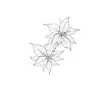 a cocoa tree tattoo design idea