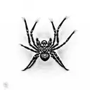 Spider tattoo design idea