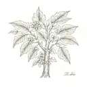 walnut tree  tattoo design idea