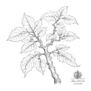 walnut tree  tattoo design idea