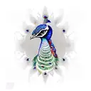 Peacock tattoo design idea
