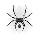 Spider tattoo design idea