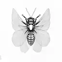 cicada tattoo design idea