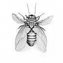 cicada tattoo design idea