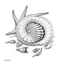 5 shells grouped, conch, nautalis, cowrie, starfish, nautalis tattoo design idea