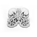 anatomically correct organ with plant elements, minimalist, high contrast, dotwork  tattoo design idea