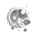 lunar eclipse tattoo design idea