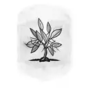 olive tree with 3 leaves tattoo design idea